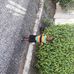 Marva Mclean - Facebook