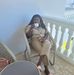 Marva Samuels-Adams - Facebook