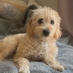 @lila_marvel_moore - Instagram