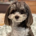 Charlie Marvel Walker - @charliemarvelwalker - Instagram