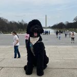 Sir Marvel Walker - @marvels_travels_ - Instagram