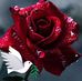 Marvette Johnson - Facebook