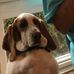Marvin Abrams - Facebook