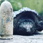 Marvin Bryce Agee - @agee.marvin - Instagram