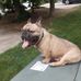 Marvin Anders - Facebook