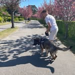 Marvin Andersen - @marvintandersen - Instagram