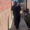 Marvin Aviles - @marvin.aviles - TikTok
