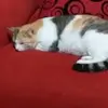 Marvin Aviles - @marvin.aviles08 - TikTok