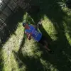 Marvin Aviles - @marvin.aviles05 - TikTok