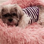 Marvin - @marvin_balestra - Instagram