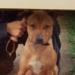 Marvin Leonard Reece Barker - @marvinbarker420 - Instagram