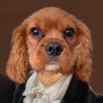 Marvin Barker 🤘😎🤘 - @poppunkmarvin - Instagram