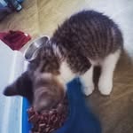 @marvin_bean0417 - Instagram