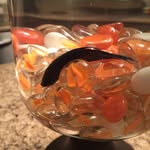 Marvin Bean - @bean.marvin - Instagram