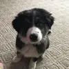 Marvin Bean - @marvin.bean5 - TikTok