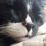 Marvin Bean sprout - @marvinbeansprout - Instagram