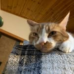 Marvin Hoover Beans - @marvin_h_beans - Instagram