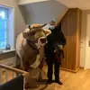 Marvin Chrizz Berkem - @marvinchrizzberke - TikTok
