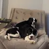 Marvin Berry - @marvin.berry3 - TikTok
