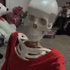 marvin - @marvin.bones - TikTok