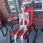Marvin - @marvin.bones - Instagram
