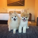 Marvin Booth - @marvinbooth26 - Instagram