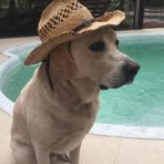 Marvin Bourne - Facebook