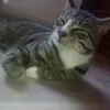 marvinbrink192 - @user77110821 - TikTok