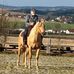 Marvin Bernstein - Facebook
