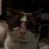 Francesca - @marvins.buddy - TikTok