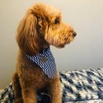 Marvin Boy - @marvinbuddyboy - Instagram