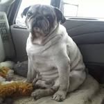 marvin budde - @buddmarvin - Instagram