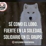Marvin Cacho - @marvin.cacho.35 - Instagram