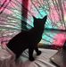 Marvin Cain - Facebook