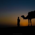 Marvin Camel Safari & Day Tours - @marvin_camel_safari - Instagram