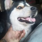 Caza Caza Caza - @marvincoy - Instagram