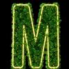 @Marvincrispin - @marvcris - TikTok