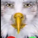 Marvin Beak - @marvi.neagle - Instagram