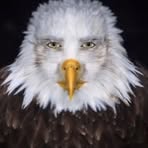 Marvin Eagle - Facebook
