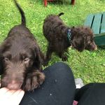 Marvin And Earl - @marv_and_earl - Instagram