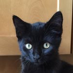 Wayne, Marvin, Earl, & Garth - @___waynez_world___ - Instagram