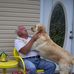 Marvin N Ruth Eaves - Facebook