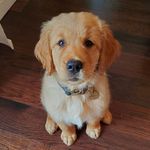 Marvin Gregory Ebert - @marvinthemenace - Instagram