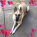 Marvin Estes - Facebook