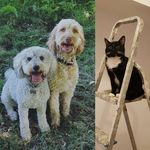 Marvin, Marley, Ferris & Floyd - @marvin_marley_floyd - Instagram