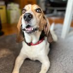 Marvin Gore - @mr.marvin_marvelous - Instagram