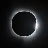 Marvin Gray - @marvin.gray56 - TikTok