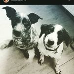 Marvin Gray - @marvingray695 - Instagram
