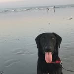 Marvin Gray Lepage - @marvingray1418 - Instagram