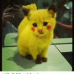 Marvin Hager - @marvindli_1901 - Instagram